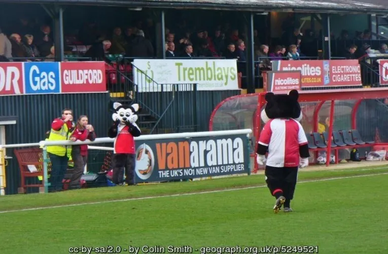 Linh vật CLB Woking FC chào đón cổ động viên tại sân nhà