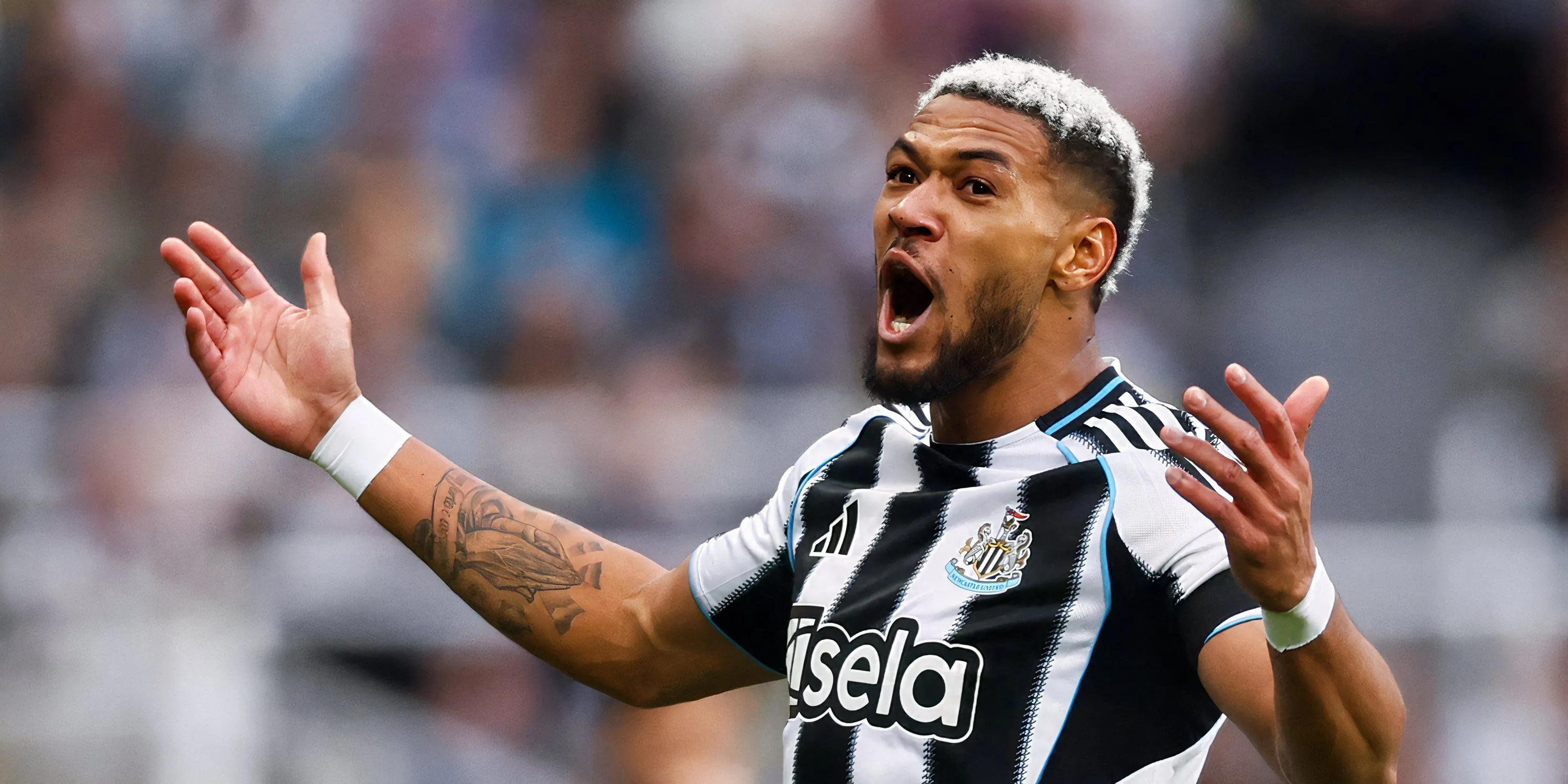 Joelinton thi đấu mờ nhạt trong màu áo Newcastle trước Brighton